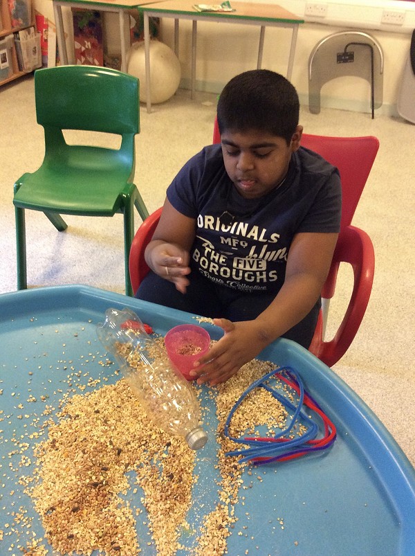 Bird seed