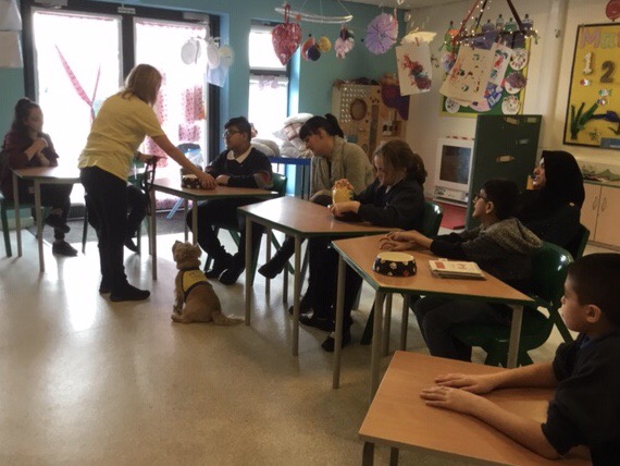 Class dog