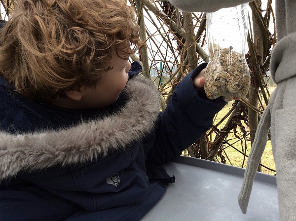 Feeding birds