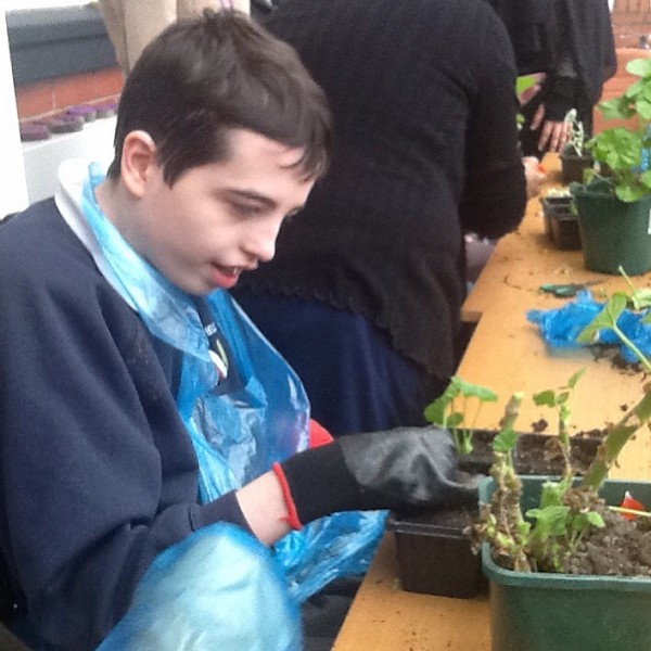 Gardening