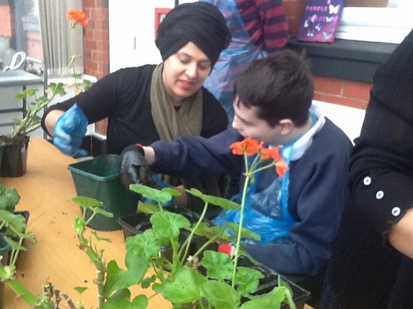 Planting