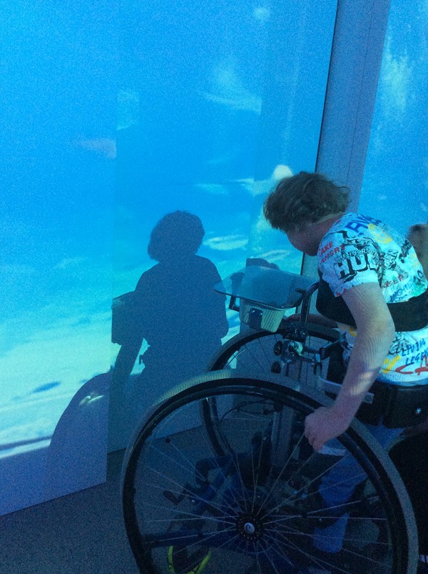 Aquarium