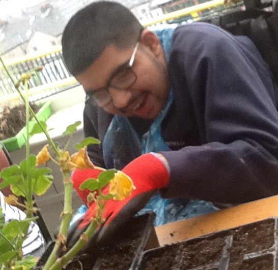 Plants