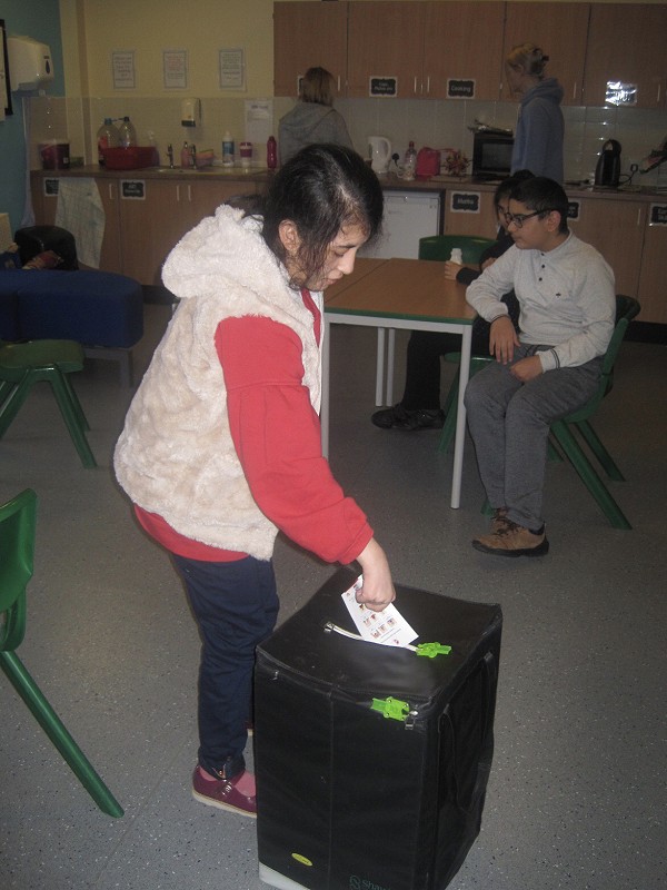 Voting