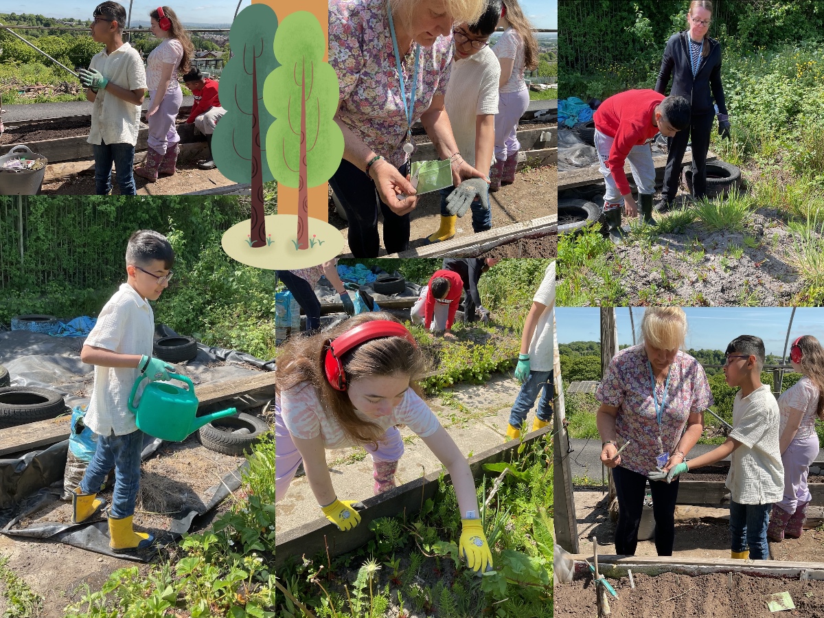 allotment