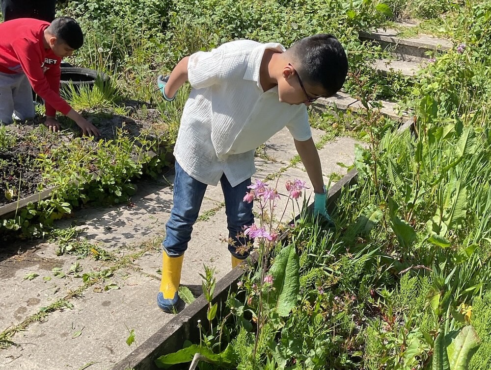 Allotment