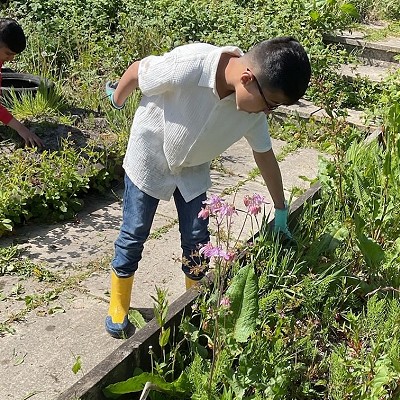 Allotment