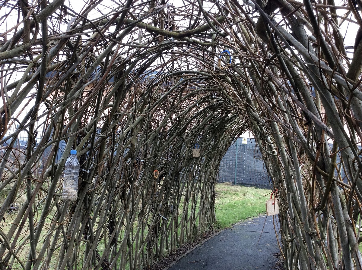 Arch