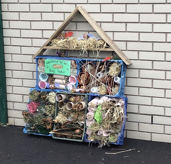 bug hotel
