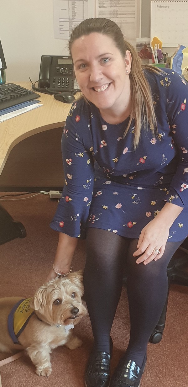 Office dog