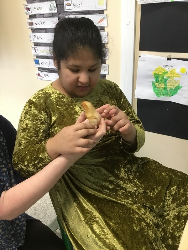 chick