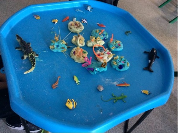 coral reef