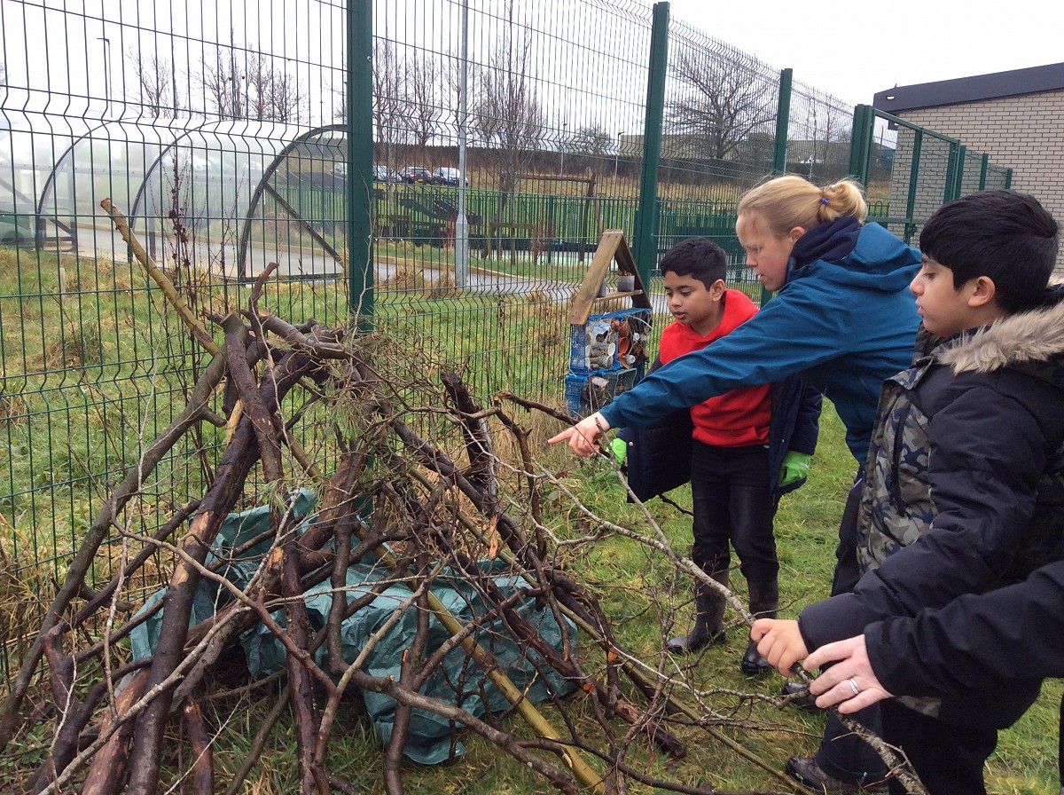Den Building