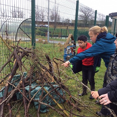 Den Building