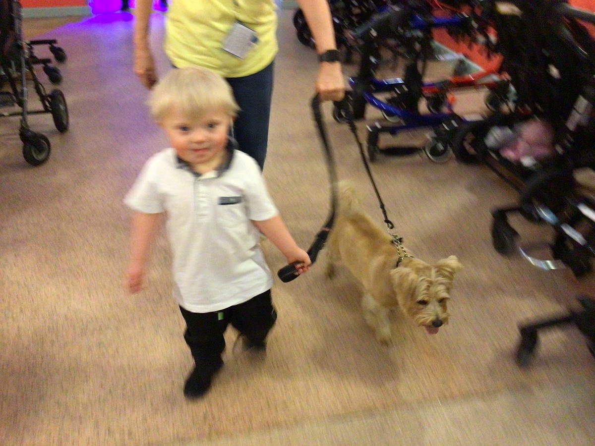 Baxter Visits EYFS