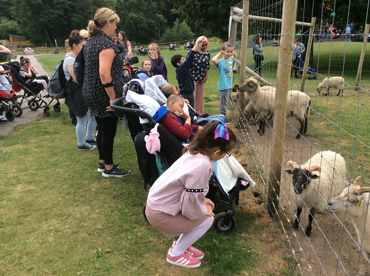 Farm Trip
