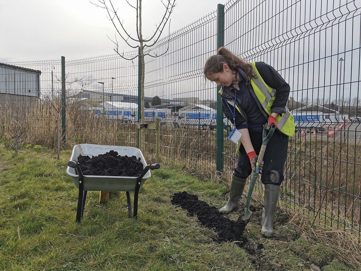 Site prep