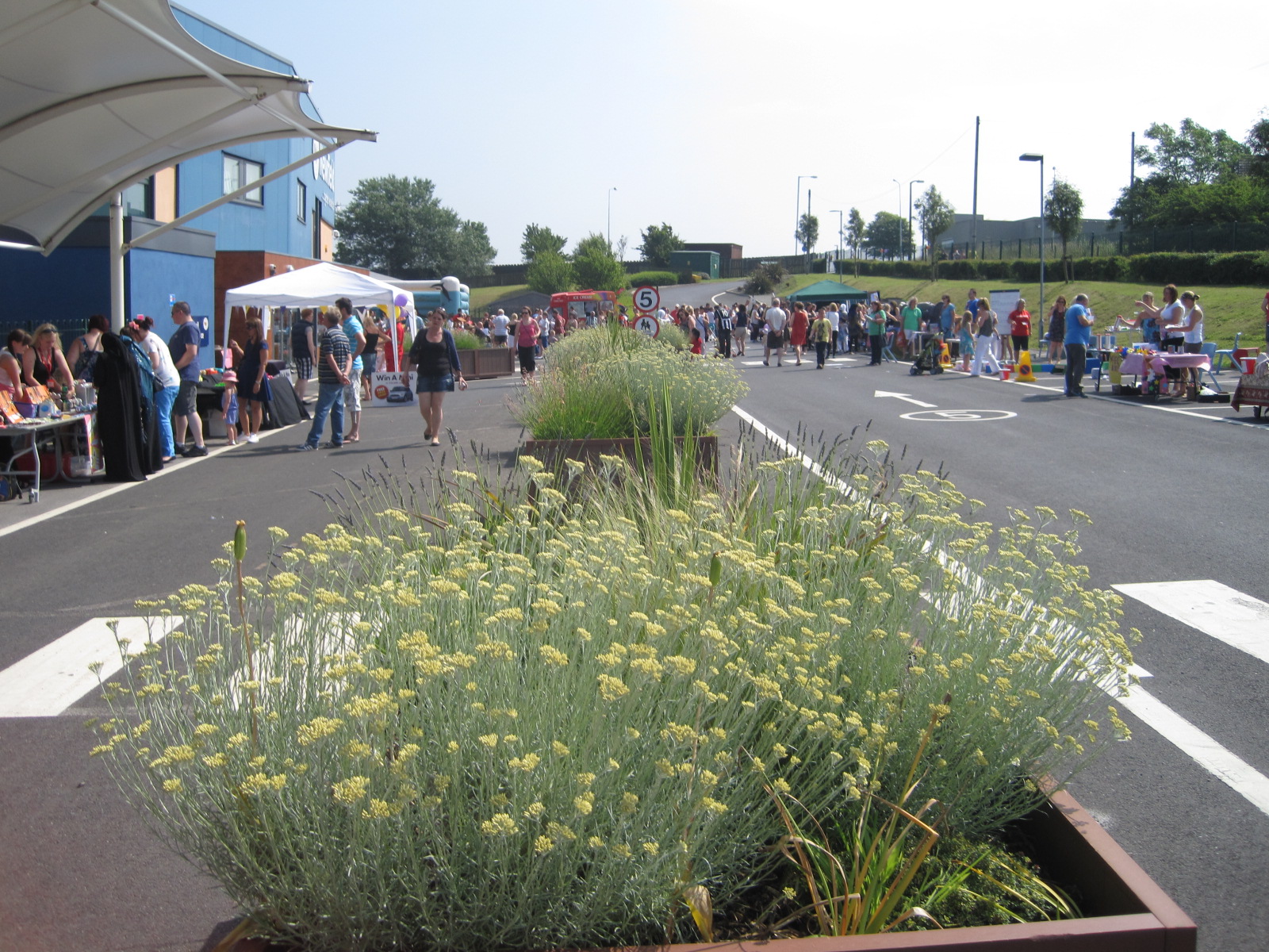 Summer Fair Success!