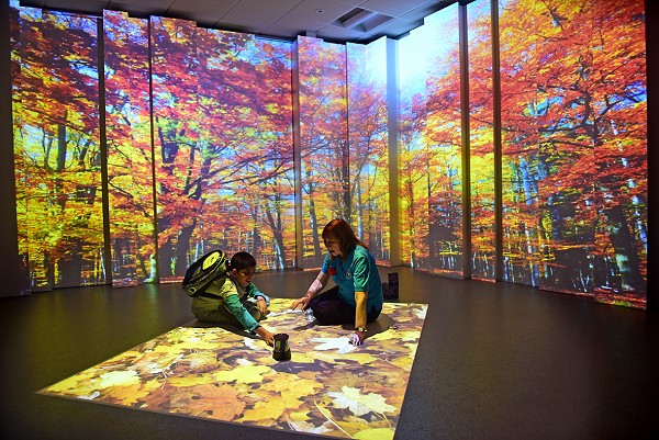 4D Sensory Studio - Autumn
