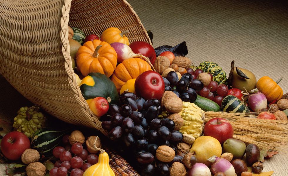 Harvest Celebrations