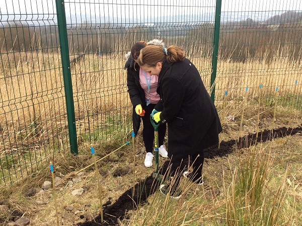digging