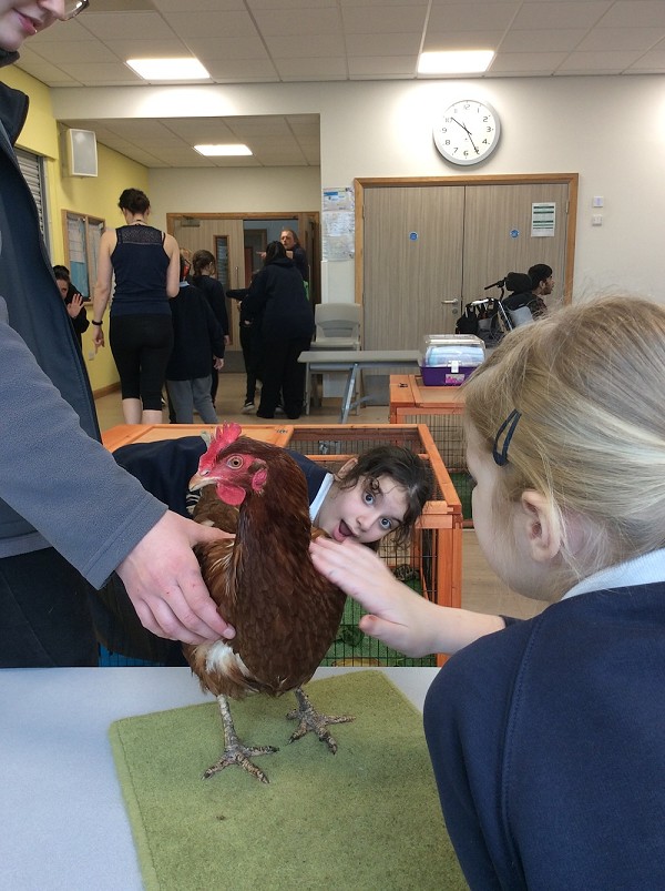 hen