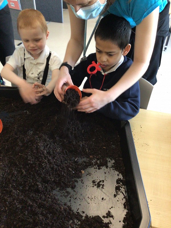 soil