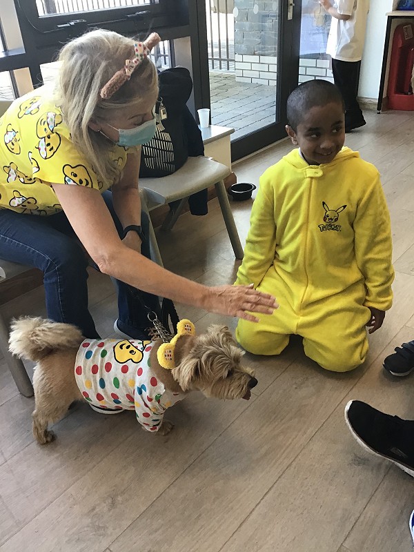 dog pudsey