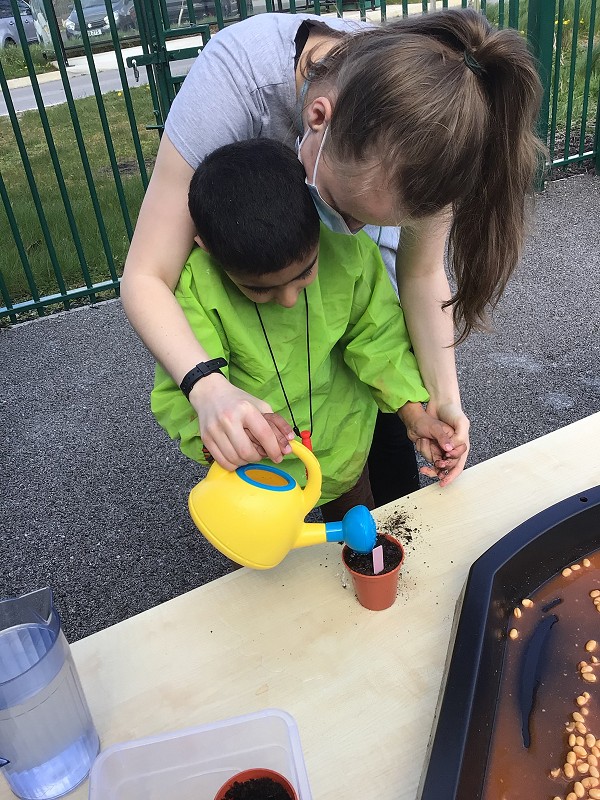 potting