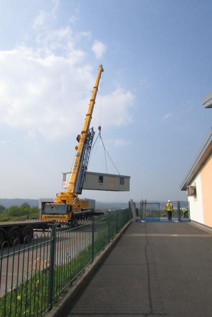 Crane Excitement