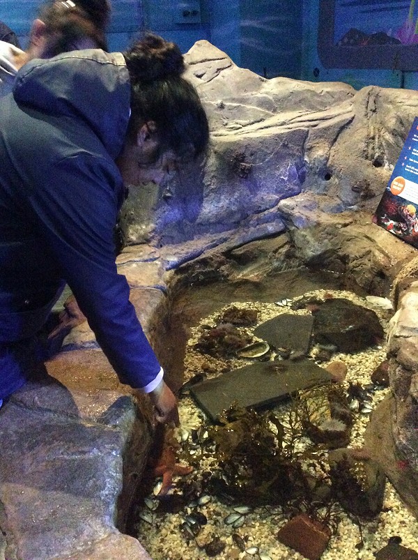 rock pool