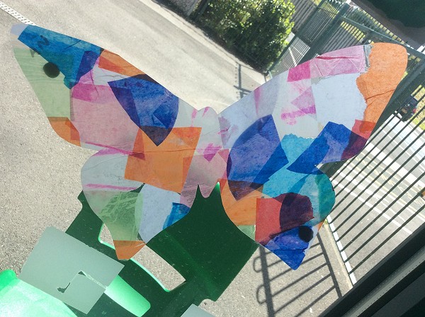 butterfly