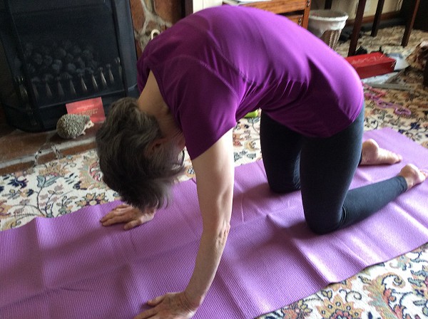 yoga