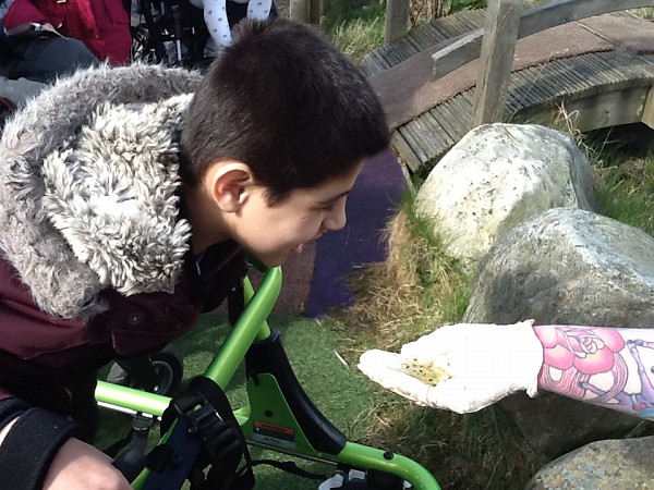 frog spawn