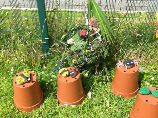 bug pots