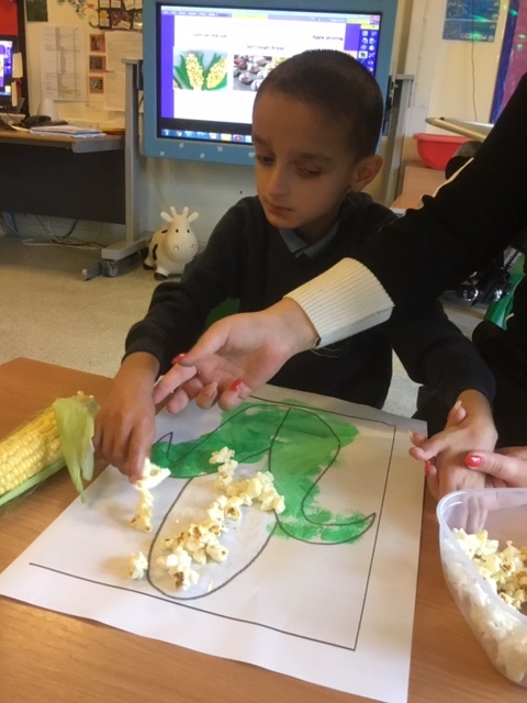 corn art
