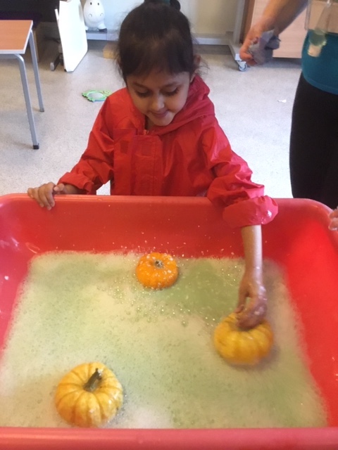pumpkin