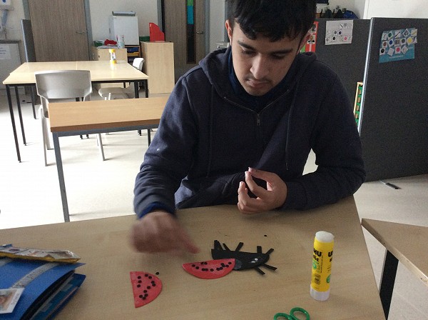 ladybird making