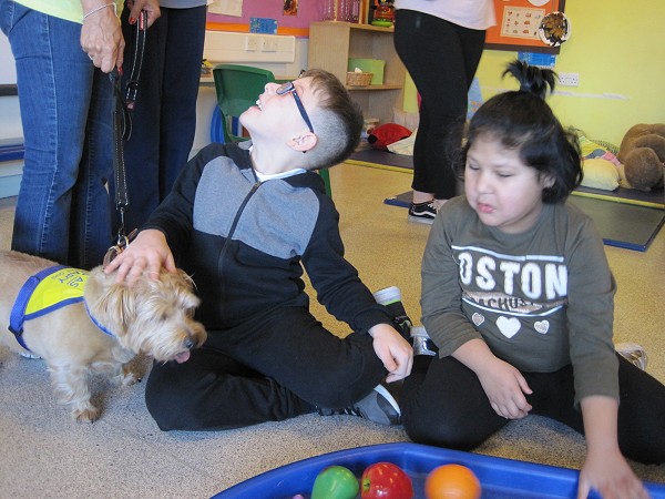 playing with dog
