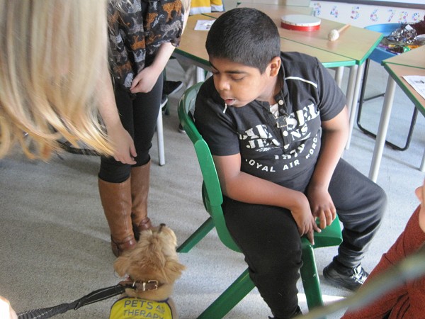 looking at dog