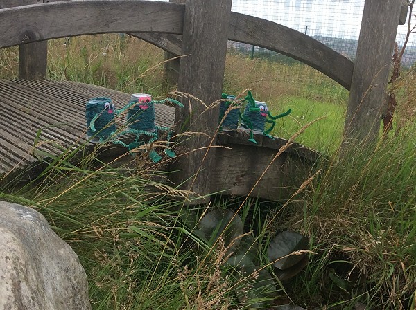 froggy bridge