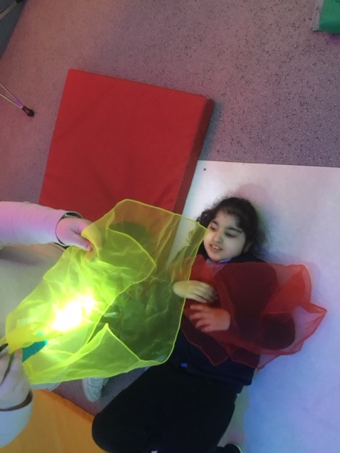 lights