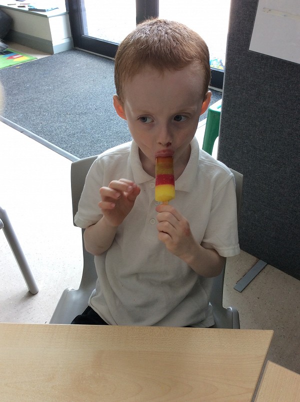 lolly