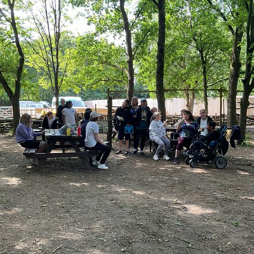 picnic