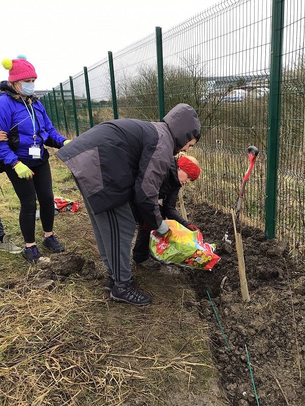 planting