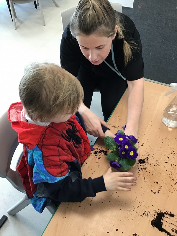 planting