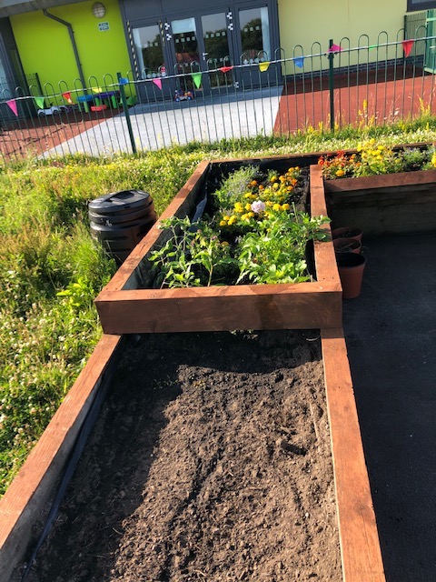 soil