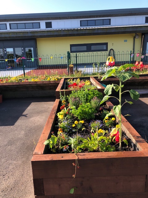 garden