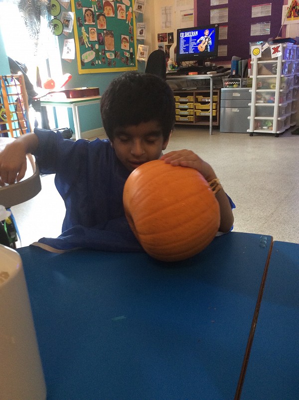 pumpkin