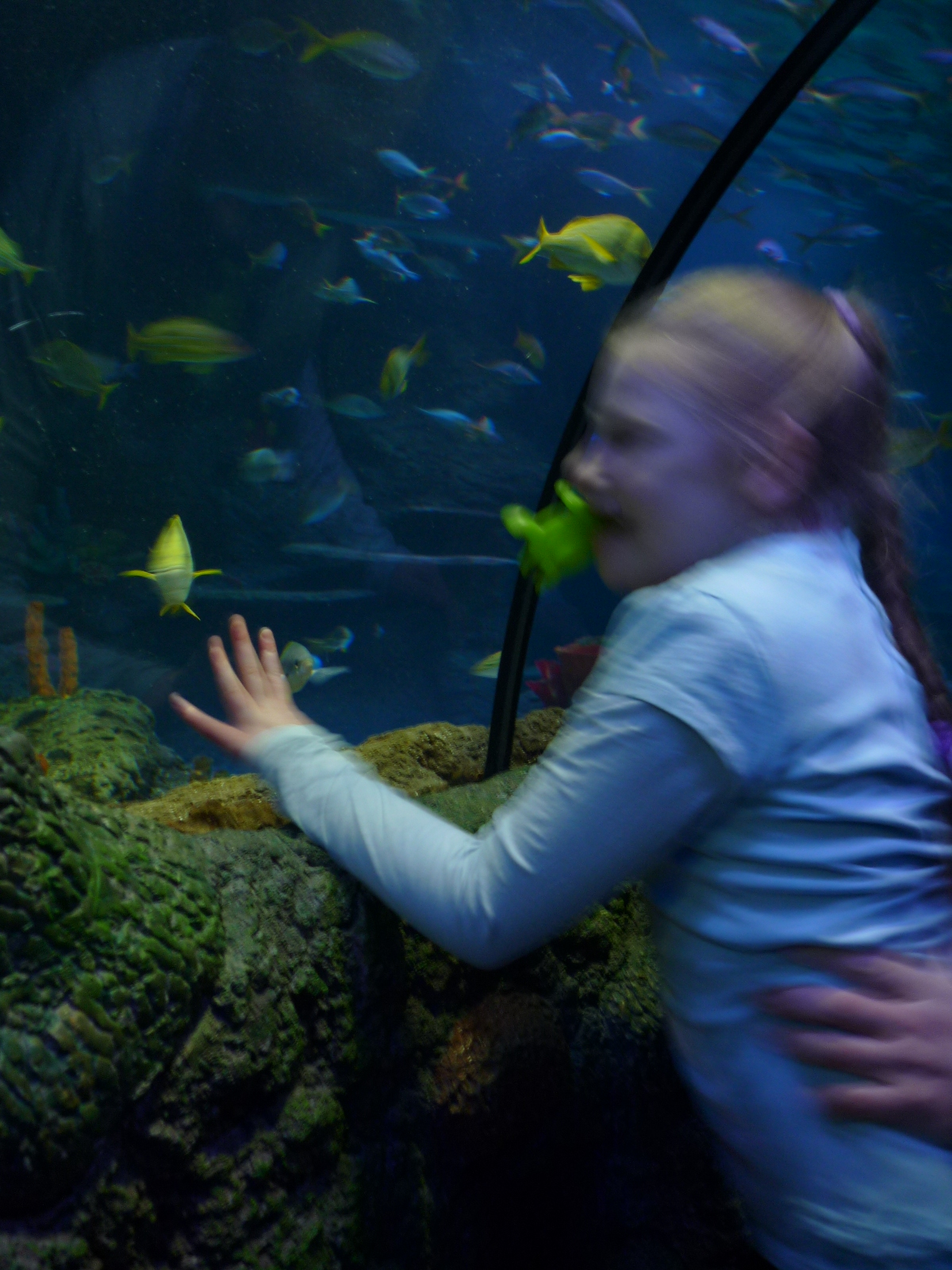 Sealife Centre Trip